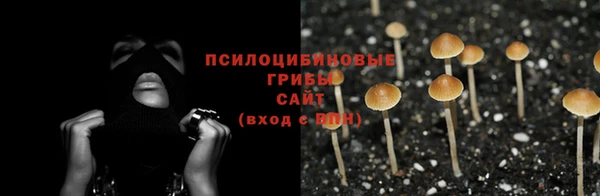 спайс Алексеевка
