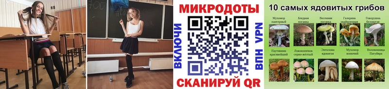 МЕГА онион  Кыштым  Галлюциногенные грибы Psilocybe 
